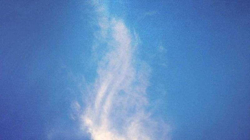 仙逆在线观看免费完整版极致高清播放体验